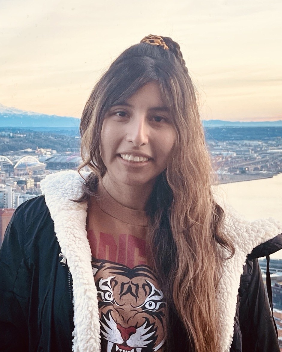 Belu Ticona