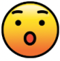 Surprised Face