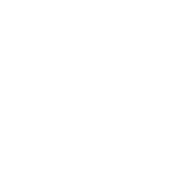 Engineer Bronze badge icon